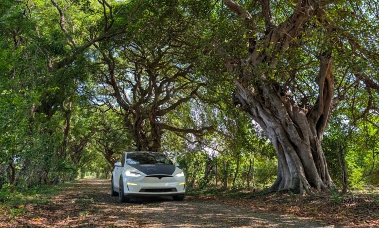 Usado en la carretera pan-mericana en Tesla Model X, Beluga