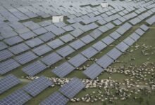 La competencia de China para construir la granja solar más grande del mundo con “iluminación Saeng”
