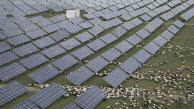 La competencia de China para construir la granja solar más grande del mundo con “iluminación Saeng”