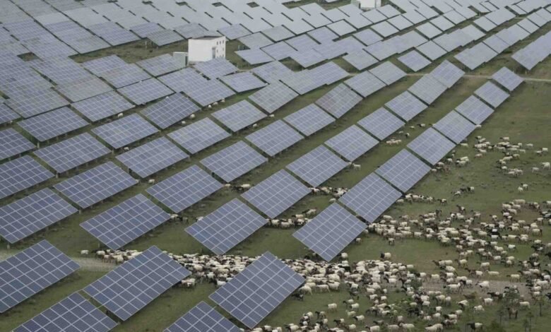 La competencia de China para construir la granja solar más grande del mundo con “iluminación Saeng”