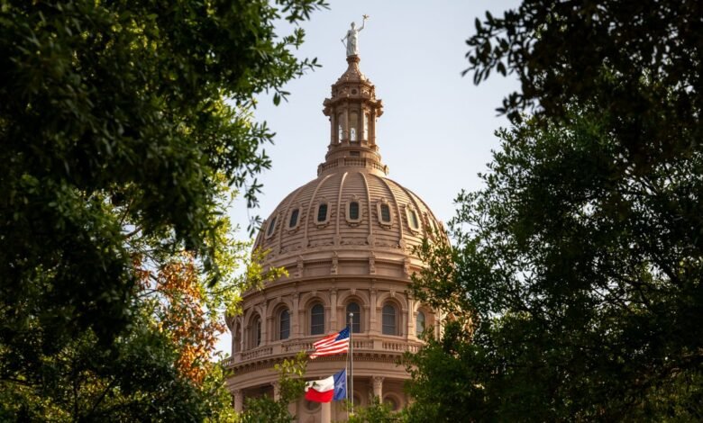 En una audiencia de baño a través de Texas, los testigos trefóbicos hicieron grandes amenazas En una audiencia de baño a través de Texas, los testigos trefóbicos hicieron grandes amenazas