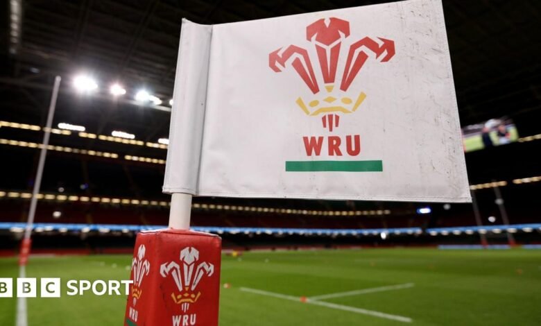 Alianza de rugby de Gales para proponer la mitad de los aspectos profesionales en dos