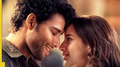 Siddhanta Chaturvedi, Tripti continúa luchando a pesar de la buena revisión de la película Demri, solo ganando …