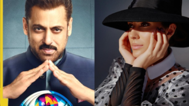 ¡Qué! Elnaz Norozi Big Boss 3 rechazó la oferta de Rs 1 crore para el evento de Salman Khan …: ‘Actualmente su enfoque …’