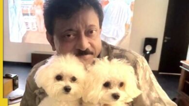 Ram Gopal Verma saltó hacia los amantes de los perros oponiéndose a la decisión de la Corte Suprema: “Significa matar gente …”