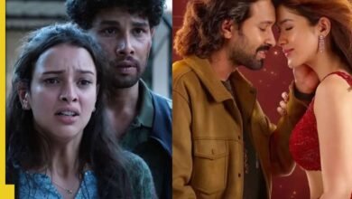 Del inspector Gende a Dhadak 2, qué verá qué este mes