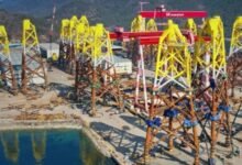Glamox ganó el contrato para Fengmiao Fengmiao Farm Farm.
