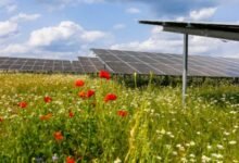 Belectric Comisions 96-MW Solar Farm en Kolitzheim