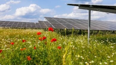 Belectric Comisions 96-MW Solar Farm en Kolitzheim
