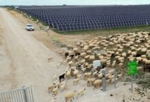 Iberdrola e Ingeteam para hibridar las plantas solares existentes con nuevos sistemas de almacenamiento