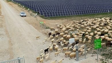 Iberdrola e Ingeteam para hibridar las plantas solares existentes con nuevos sistemas de almacenamiento