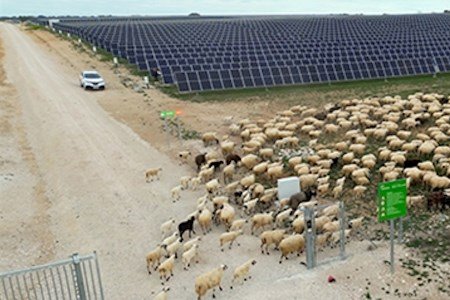 Iberdrola e Ingeteam para hibridar las plantas solares existentes con nuevos sistemas de almacenamiento