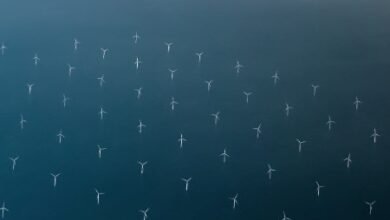 Buchan Offshore Wind envió una solicitud en la costa.