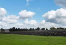 Energiequelle celebra el inicio de la construcción en el parque eólico alemán