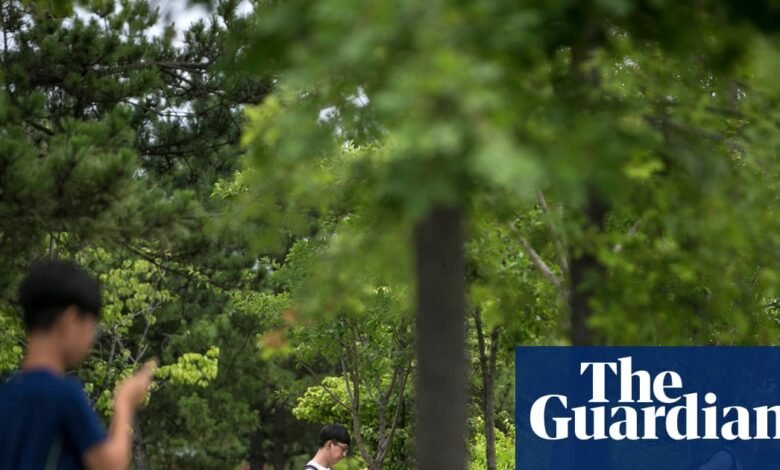 Corea del Sur listo para decidir si dejar que Google Maps finalmente funcione correctamente | Corea del Sur Corea del Sur listo para decidir si dejar que Google Maps finalmente funcione correctamente | Corea del Sur