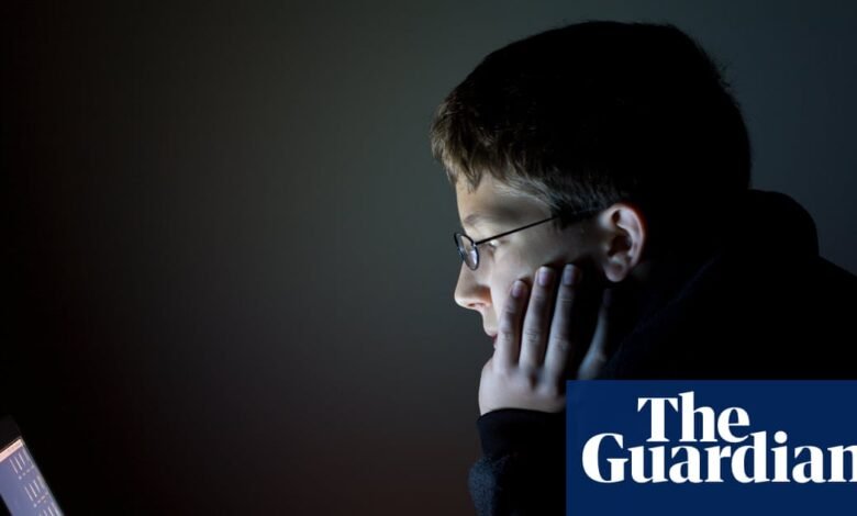 Exposición de los niños a la pornografía más alta que antes de la Ley de Seguridad en línea de 2023, la encuesta encuentra | Pornografía