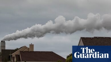 Jóvenes activistas climáticos en Wisconsin demandan el estado sobre las políticas de combustibles a favor de los fósiles | Wisconsin