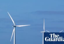Menos tarifas de energía verde ofrecidas mientras los hogares británicos optan por ofertas más baratas | Industria energética