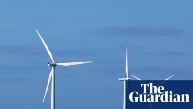 Menos tarifas de energía verde ofrecidas mientras los hogares británicos optan por ofertas más baratas | Industria energética