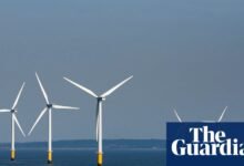El generador de viento Ørted culpa a Trump mientras que las acciones disminuyen a baja en todo momento | Industria energética