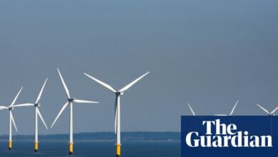 El generador de viento Ørted culpa a Trump mientras que las acciones disminuyen a baja en todo momento | Industria energética