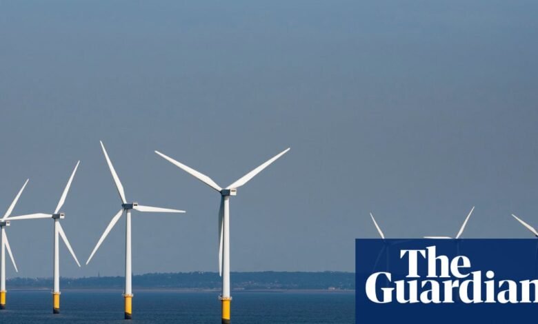 El generador de viento Ørted culpa a Trump mientras que las acciones disminuyen a baja en todo momento | Industria energética
