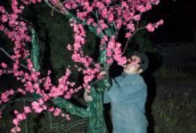 Feng Li