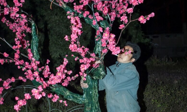 Feng Li
