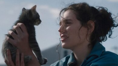 Lo siento, el niño: la película final de confort en shock