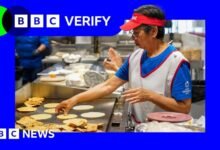 ¿Por qué el número de trabajo de los Estados Unidos ha hecho que Trump se resuelva más?