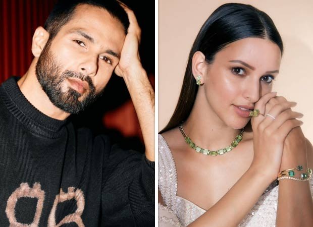 Shaheed Kapoor, Tripti Dimri para terminar de disparar a Romeo en Málaga antes del 25 de agosto: Informe: Bollywood News Shaheed Kapoor, Tripti Dimri para terminar de disparar a Romeo en Málaga antes del 25 de agosto: Informe: Bollywood News