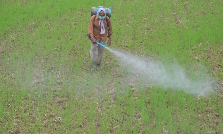 Después de la incomodidad de la India contra los fabricantes de pesticidas, los expertos cuestionan el guiño para los herbicidas y las variedades de semillas tolerantes a los herbicidas Después de la incomodidad de la India contra los fabricantes de pesticidas, los expertos cuestionan el guiño para los herbicidas y las variedades de semillas tolerantes a los herbicidas