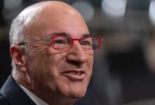 5 sugerencias de vida de ‘Shark Tank’ Kevin O’Leary