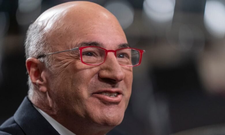 5 sugerencias de vida de ‘Shark Tank’ Kevin O’Leary 5 sugerencias de vida de ‘Shark Tank’ Kevin O’Leary