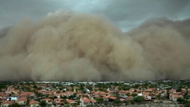 Phoenix, tormenta de polvo, docenas de vuelos, vuelos para desviarse