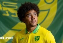 Jovon Makama: Norwich City firmó al delantero de Lincoln City por £ 1.2 millones
