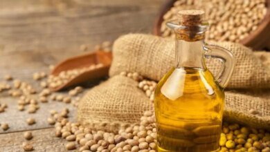El gobierno pide a los “productores” de petróleo comestible que proporcionen datos de producción, ventas, importación cada mes