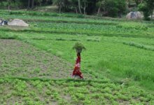Más de 20,000 agricultores de Assam recibieron ₹ 422 Cr bajo PM-Kisan.