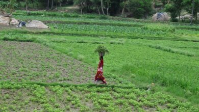 Más de 20,000 agricultores de Assam recibieron ₹ 422 Cr bajo PM-Kisan.