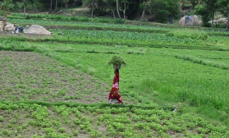 Más de 20,000 agricultores de Assam recibieron ₹ 422 Cr bajo PM-Kisan. Más de 20,000 agricultores de Assam recibieron ₹ 422 Cr bajo PM-Kisan.
