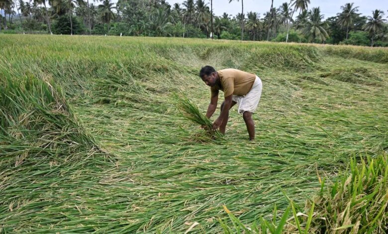 Cómo diseñar productos financieros agnósticos de temporada que funcionen para los agricultores indios Cómo diseñar productos financieros agnósticos de temporada que funcionen para los agricultores indios