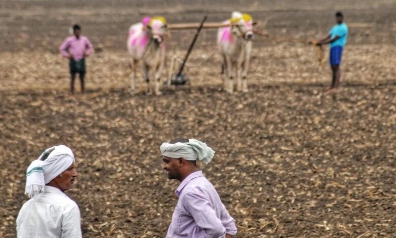 La siembra normal informada en los cultivos principales durante Kharif 2025: el gobierno le dice a Rajya Sabha La siembra normal informada en los cultivos principales durante Kharif 2025: el gobierno le dice a Rajya Sabha