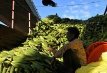 ¿La economía india está equilibrada perfectamente?