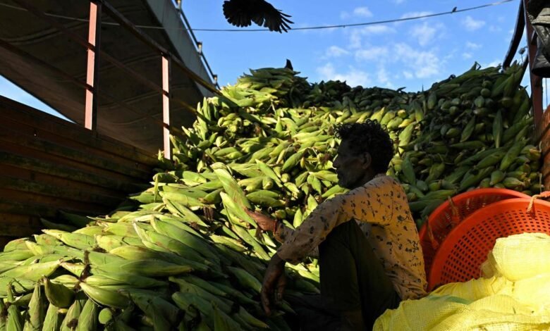 ¿La economía india está equilibrada perfectamente?