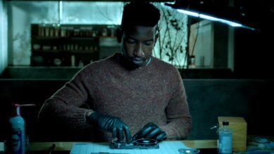 ¿Estas 6 ofertas de Netflix realmente merecen ser canceladas?