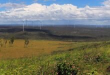 Proyecto de viento respaldado por Andrew Forrest antes de EPBC, esta vez para la conexión de la red