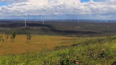 Proyecto de viento respaldado por Andrew Forrest antes de EPBC, esta vez para la conexión de la red