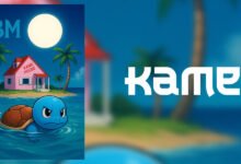Kame, también conocido como $ Kame: una novela de la iniciativa cripto