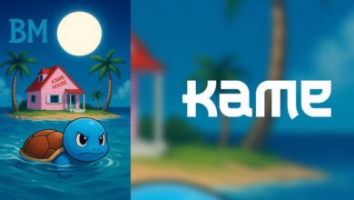 Kame, también conocido como $ Kame: una novela de la iniciativa cripto