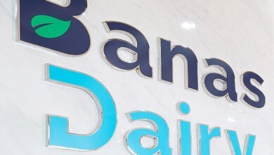 EE. UU. Intentando vender leche de ganado criado en “dieta no vegetariana” en los mercados indios: presidente de lácteos de banas